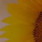 Bedrijfsimago 2