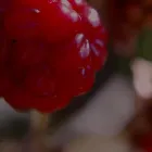 Bedrijfsimago 5