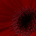Bedrijfsimago 6