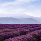 Bedrijfsimago 1