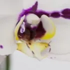 Bedrijfsimago 9