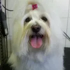 Bedrijfsimago 12