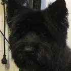 Bedrijfsimago 2