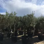 Bedrijfsimago 8