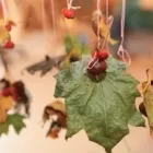 Bedrijfsimago 17