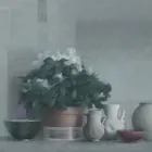 Bedrijfsimago 2