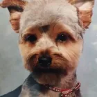 Bedrijfsimago 5