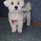 Bedrijfsimago 1