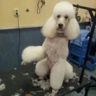 Bedrijfsimago 2