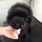 Bedrijfsimago 8