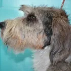 Bedrijfsimago 2