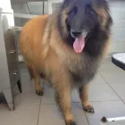 Bedrijfsimago 3