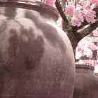 Bedrijfsimago 14