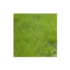 Bedrijfsimago 14