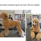 Bedrijfsimago 5