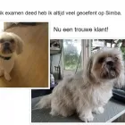 Bedrijfsimago 6