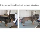 Bedrijfsimago 7