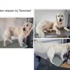 Bedrijfsimago 8