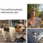 Bedrijfsimago 9