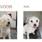 Bedrijfsimago 10