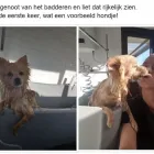 Bedrijfsimago 11