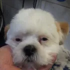 Bedrijfsimago 5