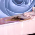 Bedrijfsimago 2