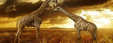 Bedrijfsimago 12