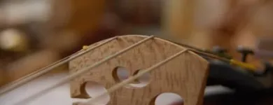 Bedrijfsimago 5