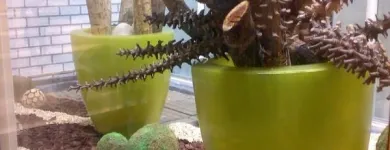 Bedrijfsimago 9