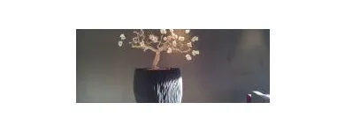 Bedrijfsimago 10