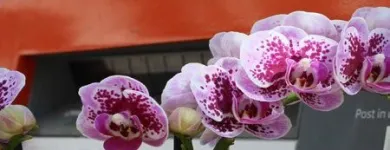 Bedrijfsimago 5