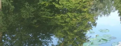 Bedrijfsimago 5