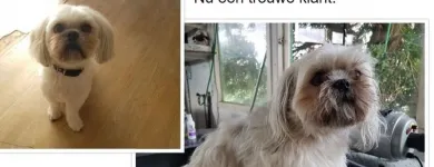 Bedrijfsimago 6