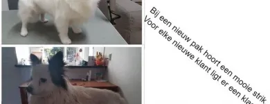 Bedrijfsimago 3