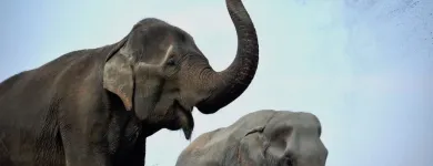 Bedrijfsimago 11