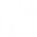 DIERENCREMATORIUM NAARDEN Gemeenschap en regering in Naarden NH