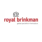 BRINKMAN
