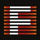 FINTAGE MUSIC INTERNATIONAL B.V.