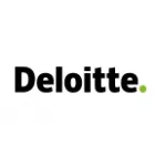 DELOITTE ACCOUNTANTS B.V.