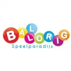 BALLORIG GAASPERPLAS BV