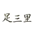 ACUPUNCTUUR DRONTEN KETELHAVEN ZUSANLI